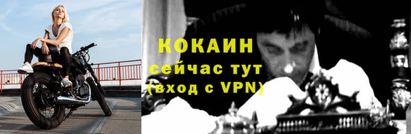 стафф Новозыбков