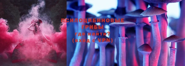 герыч Арсеньев